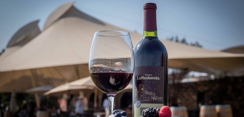 10 de mayo lgbt Festeja el día de las madres este 10 de mayo en compañia de otros miembros de la comunidad LGBT en los viñedos con cata de vino