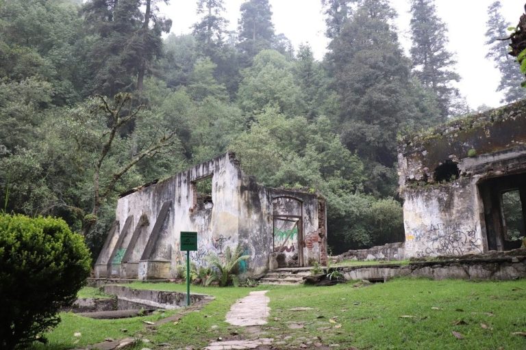Tour 10 de mayo lgbt, tour día de las madres lgbt, día de las madres en los viñedos de Querétaro lgbt, cata de vino 10 de mayo, día de las m