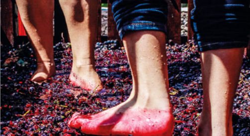 Tour 10 de mayo lgbt, tour día de las madres lgbt, día de las madres en los viñedos de Querétaro lgbt, cata de vino 10 de mayo