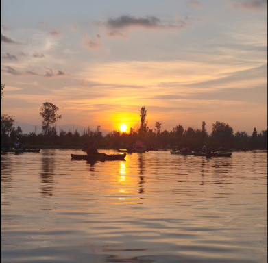 Tour gay Amanecer en Kayak en Xochimilco